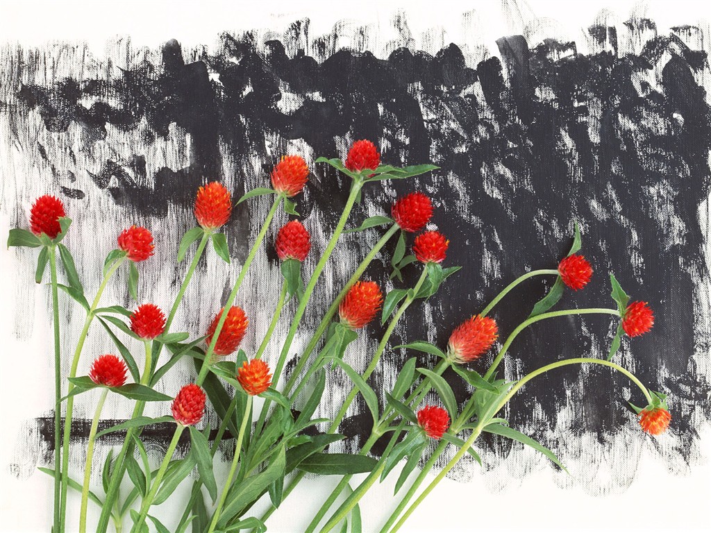 Flower Hintergrundbilder Selection (1) #16 - 1024x768