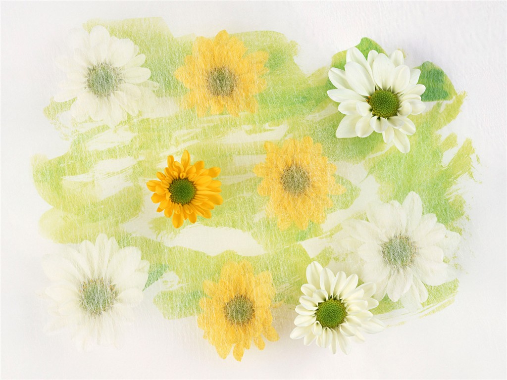 Květ Tapety na plochu výběr (1) #39 - 1024x768