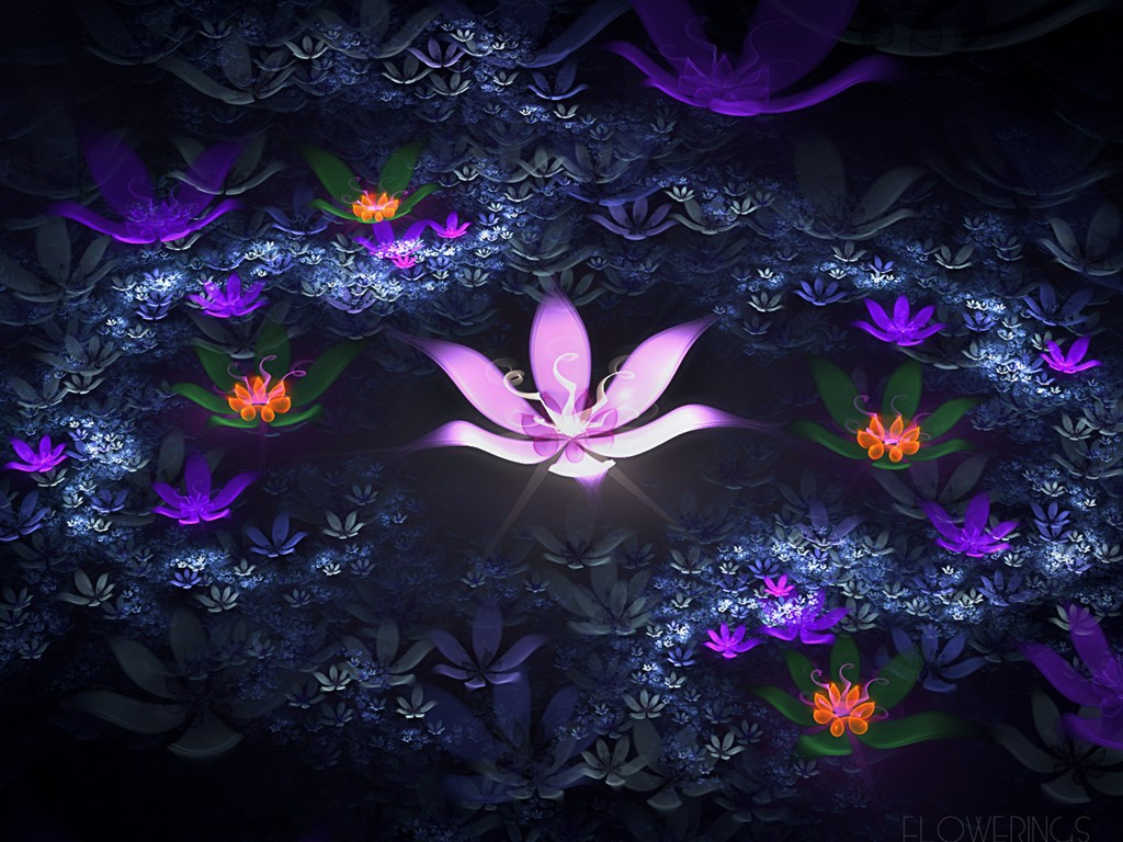 3D Dream flower wallpaper Abstract #17 - 1024x768