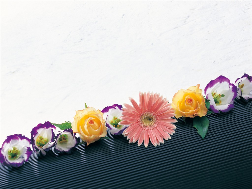 Indoor flower wallpaper (1) #27 - 1024x768