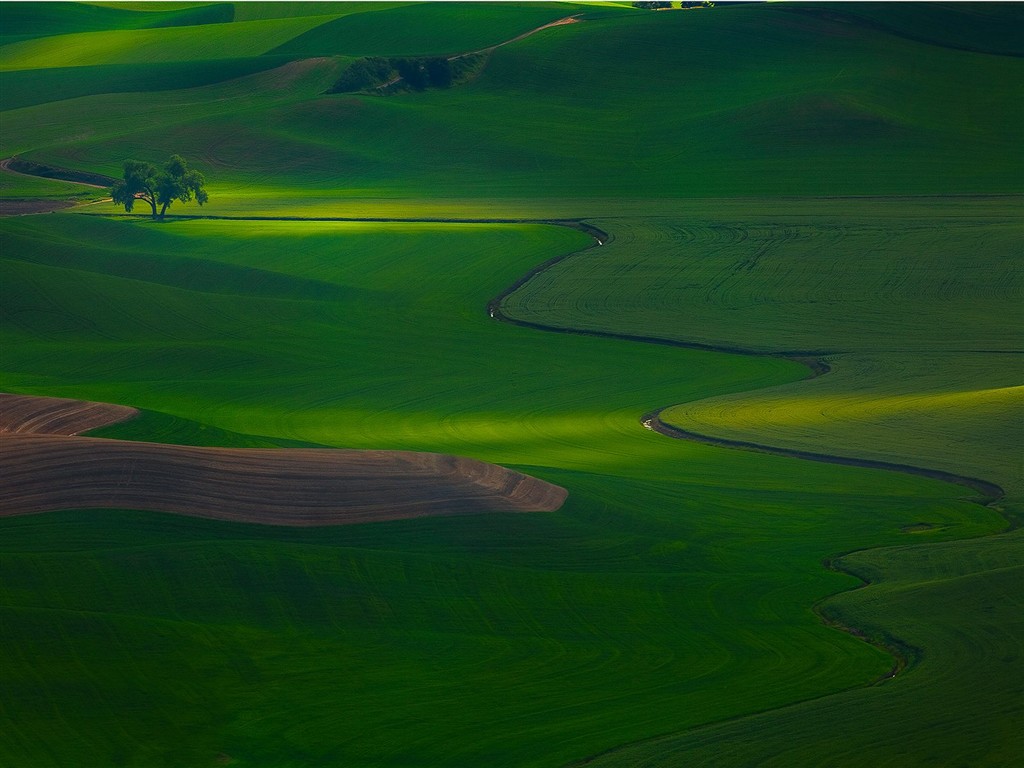 Schöne Landschaft Tapeten Alben #20 - 1024x768