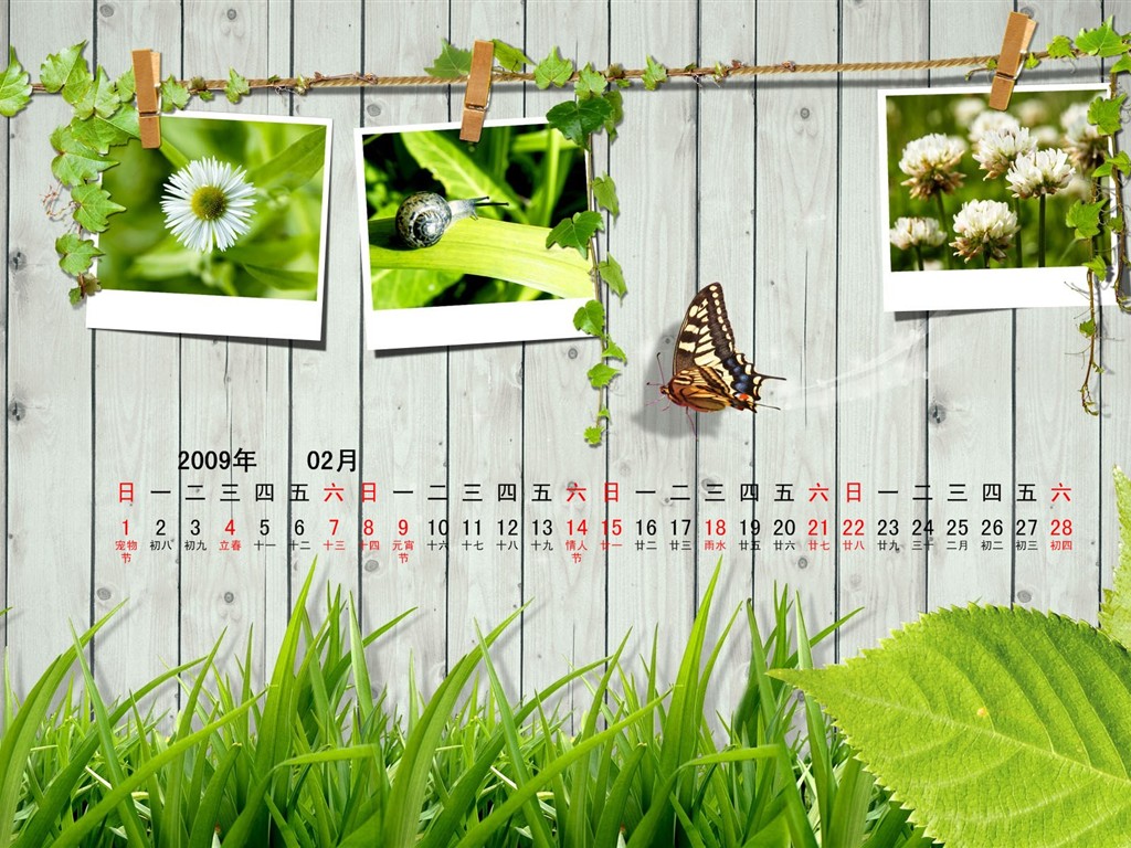 Paperart 09 Jahre im Februar Kalender Wallpaper #10 - 1024x768