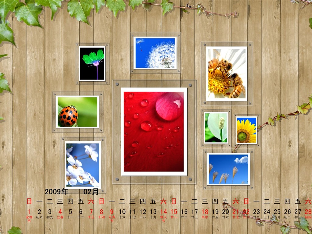 PaperArt 09 años en el fondo de pantalla de calendario febrero #24 - 1024x768