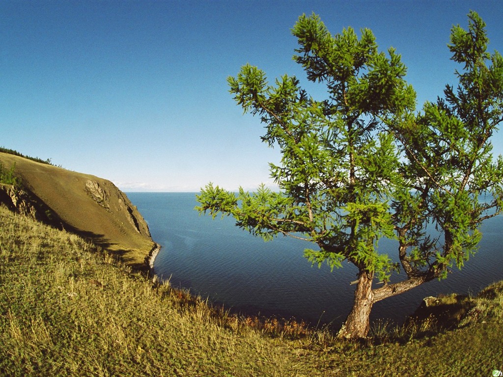 Hermoso paisaje natural en Siberia #1 - 1024x768