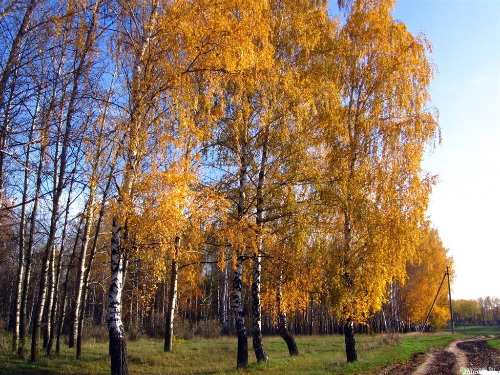 시베리아의 아름다운 자연 풍경 #21 - 1024x768