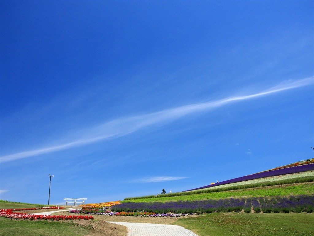 夏日北海道郊外风景16 - 1024x768