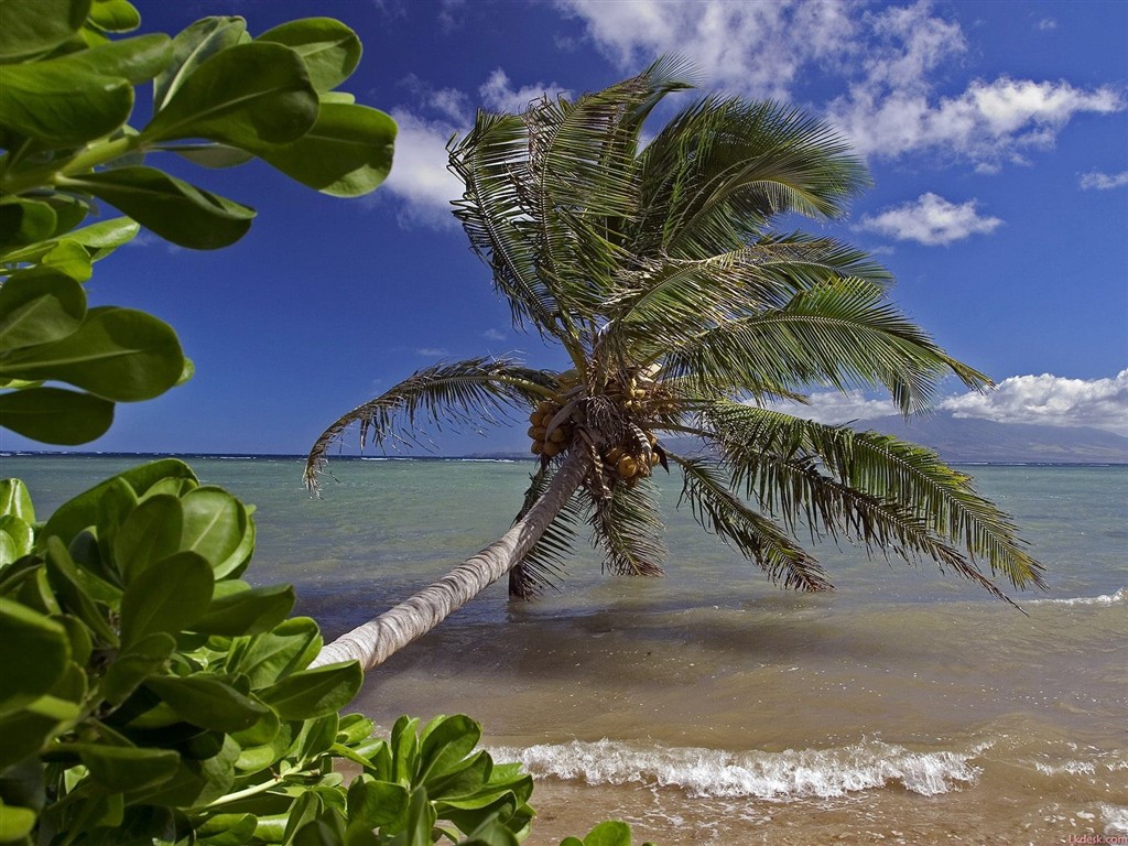 havajské pláži scenérie #13 - 1024x768