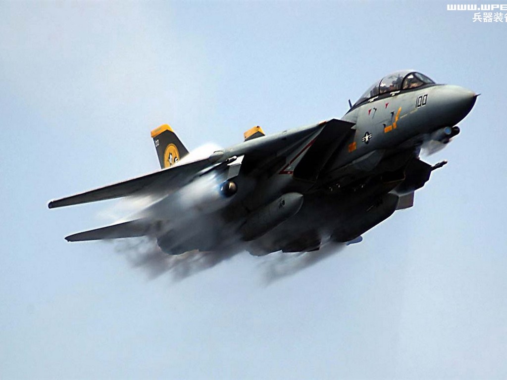 米海軍F14キーTomcatの戦闘機 #1 - 1024x768