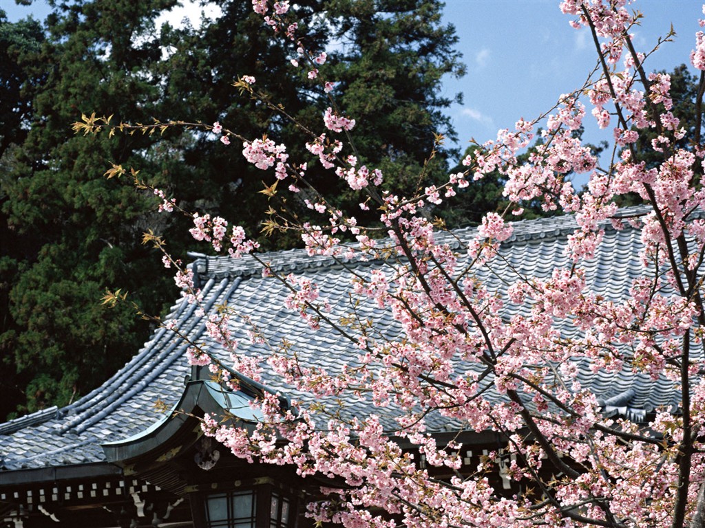 京都、日本、風景壁紙 #14 - 1024x768