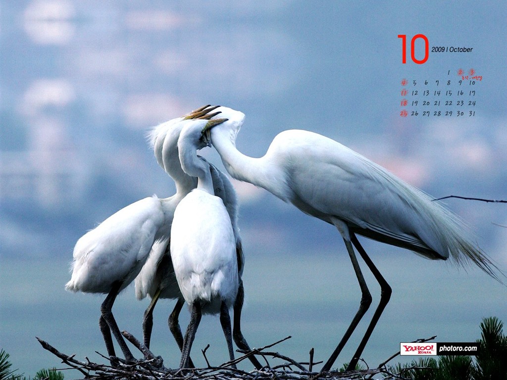 YAHOO South Korea in October Scenic Calendar #7 - 1024x768