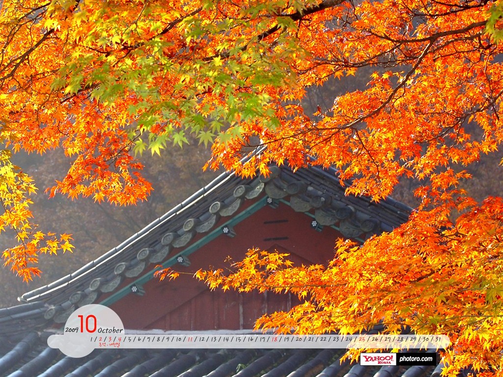 YAHOO韩国十月风景月历16 - 1024x768