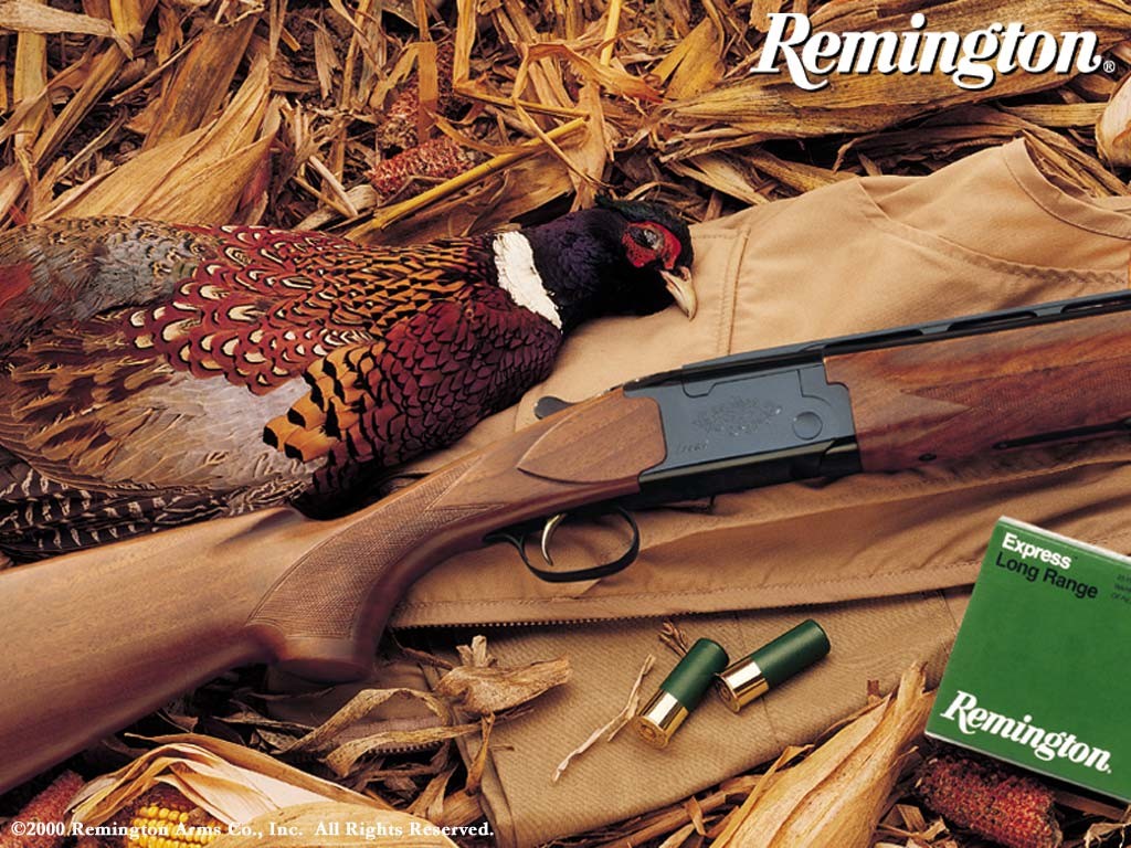 Remington fondos de escritorio de armas de fuego #11 - 1024x768