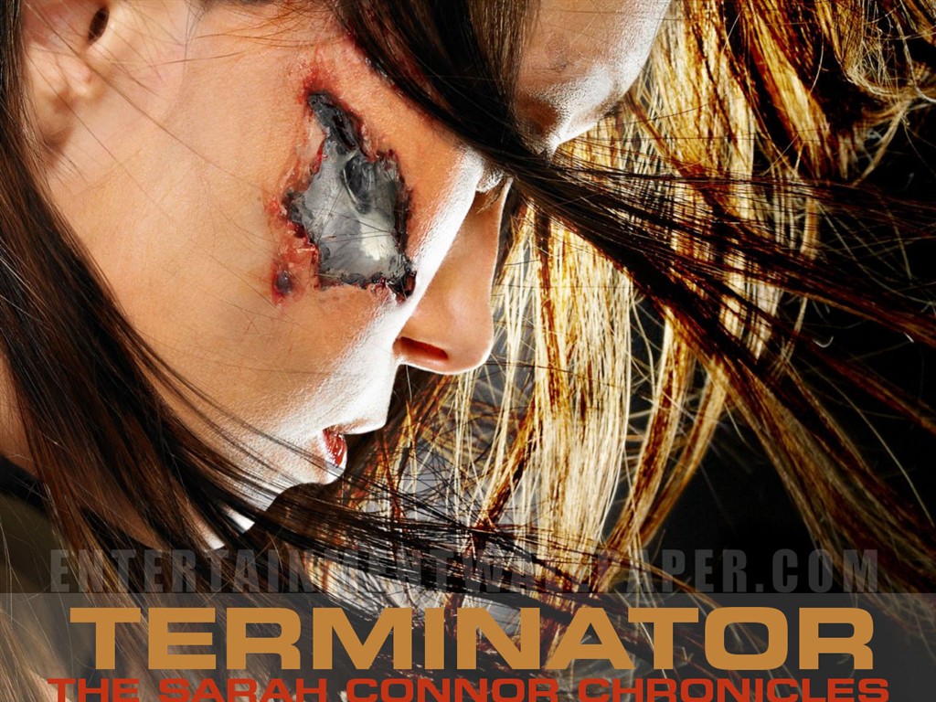 Terminator Wallpaper Gaiden #30 - 1024x768