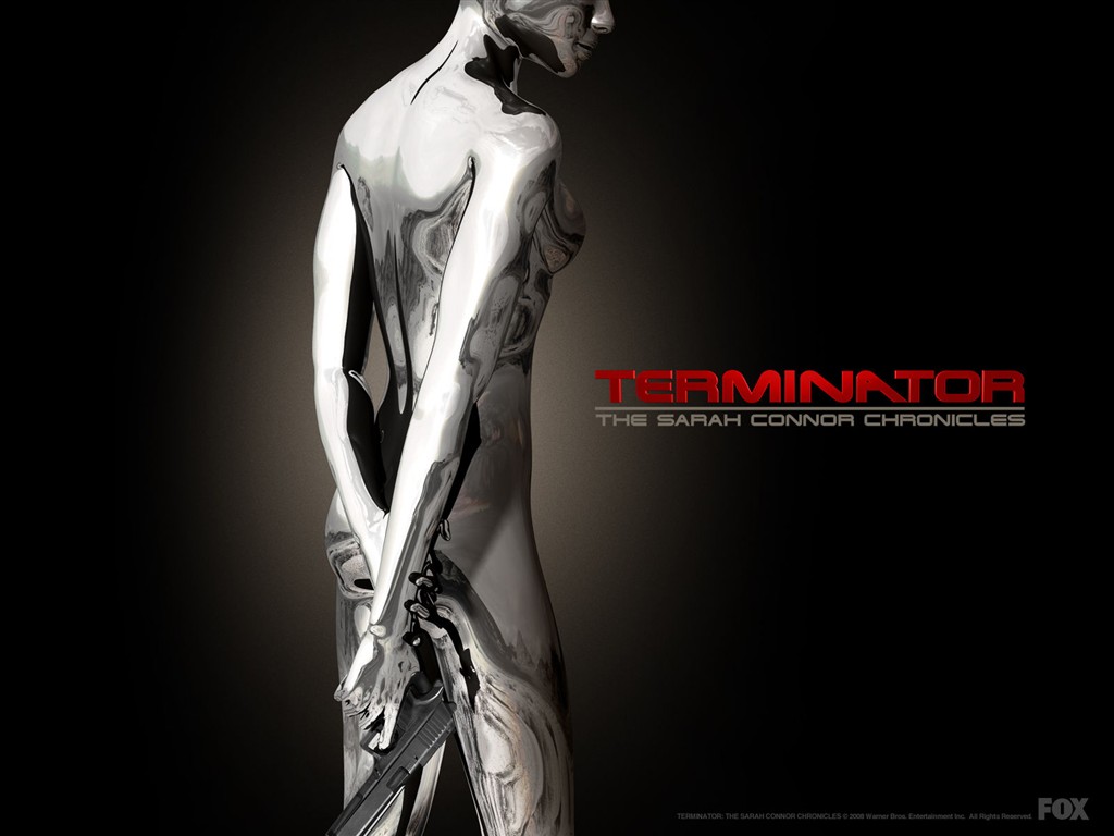 Terminator Wallpaper Gaiden #41 - 1024x768