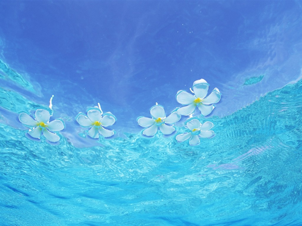 馬爾代夫的水和天 #11 - 1024x768