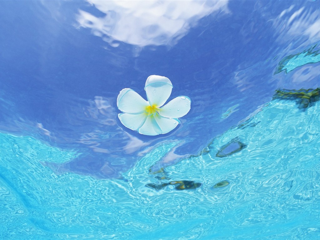 ciel bleu de l'eau aux Maldives et #12 - 1024x768
