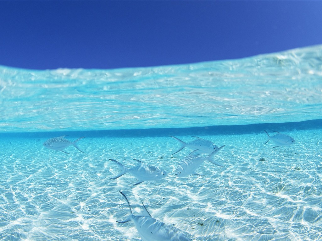 ciel bleu de l'eau aux Maldives et #23 - 1024x768