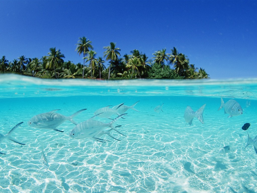 Мальдивы вода и голубое небо #24 - 1024x768