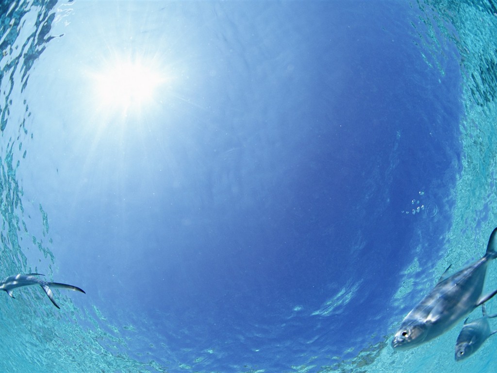 Maledivy vody a modrou oblohu #28 - 1024x768
