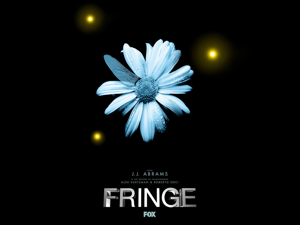 Fringe wallpaper #3 - 1024x768