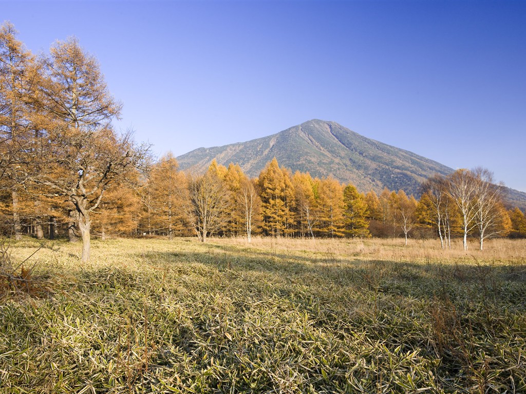 paysages naturels du Japon Fond d'écran #1 - 1024x768