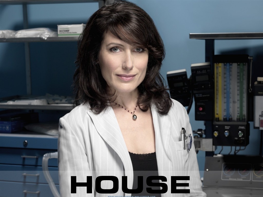 House M.D. wallpaper #8 - 1024x768