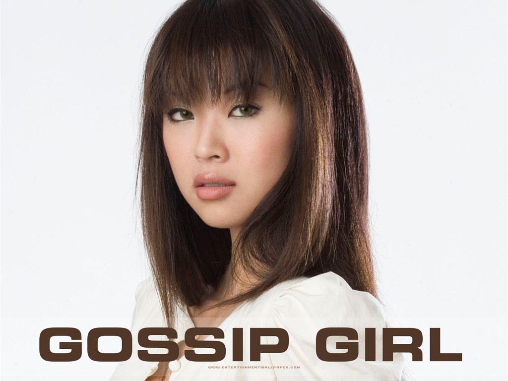 Gossip Girl fondo de pantalla #17 - 1024x768