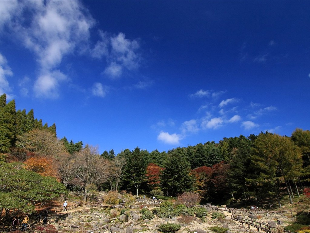 Japan Tour: Rokko Mountain leaves #9 - 1024x768