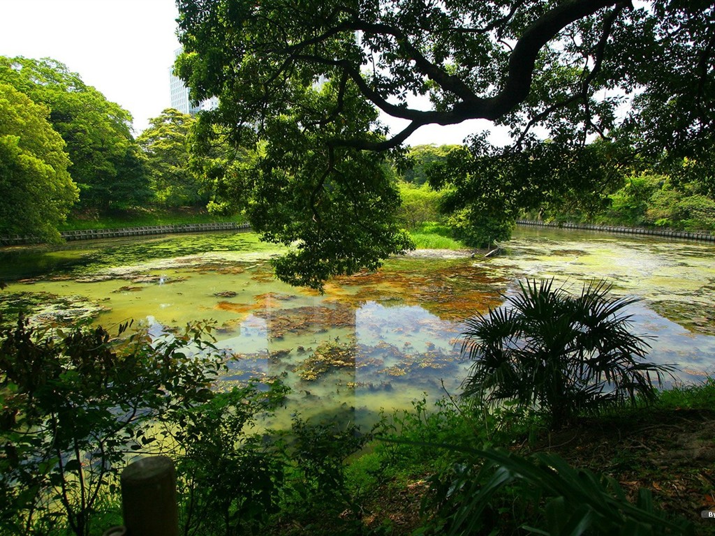 宁静庭园 公园美景壁纸2 - 1024x768