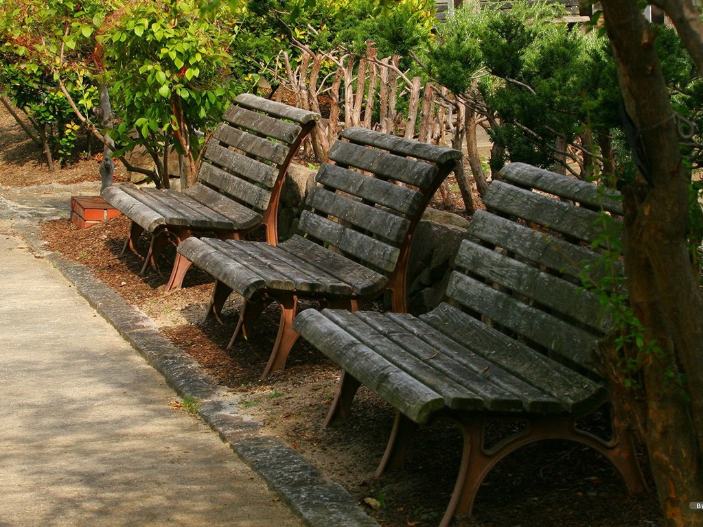 Parc beau fond d'écran #3 - 1024x768