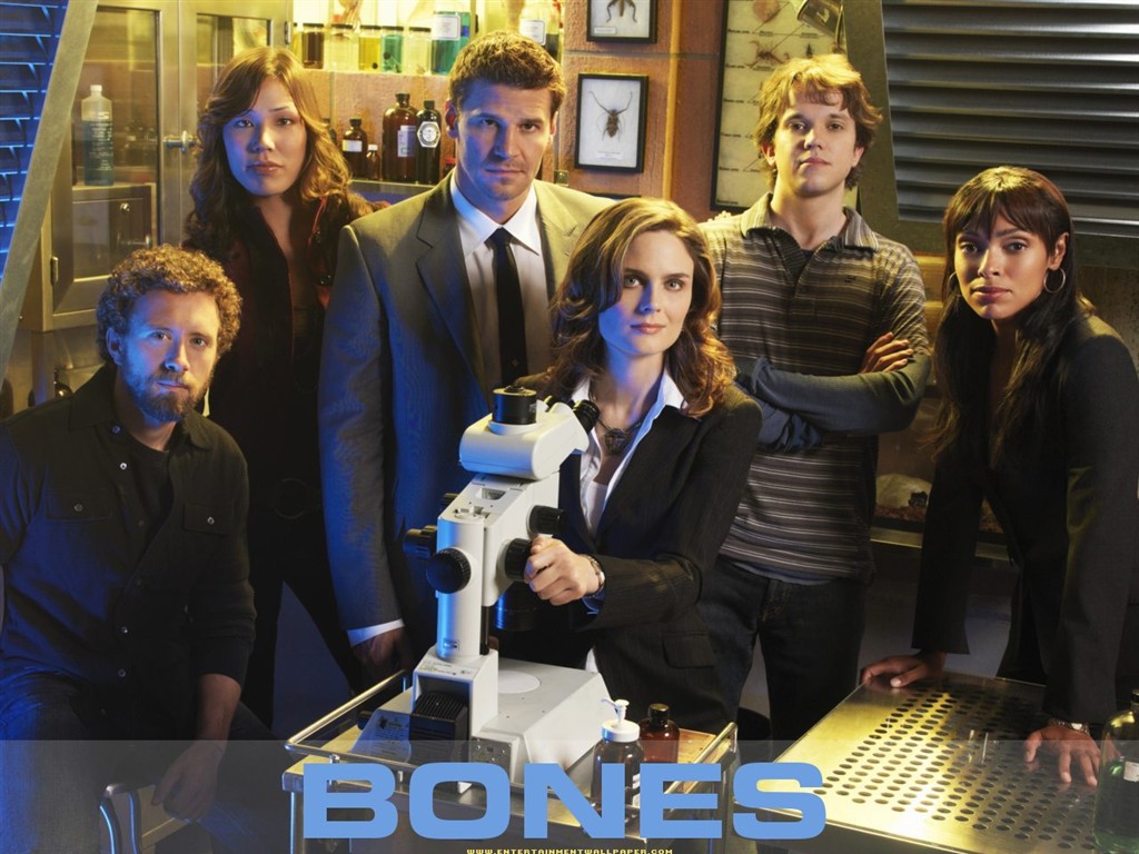 Bones wallpaper #1 - 1024x768