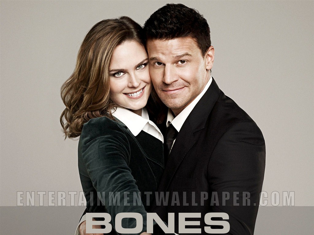 Bones wallpaper #2 - 1024x768