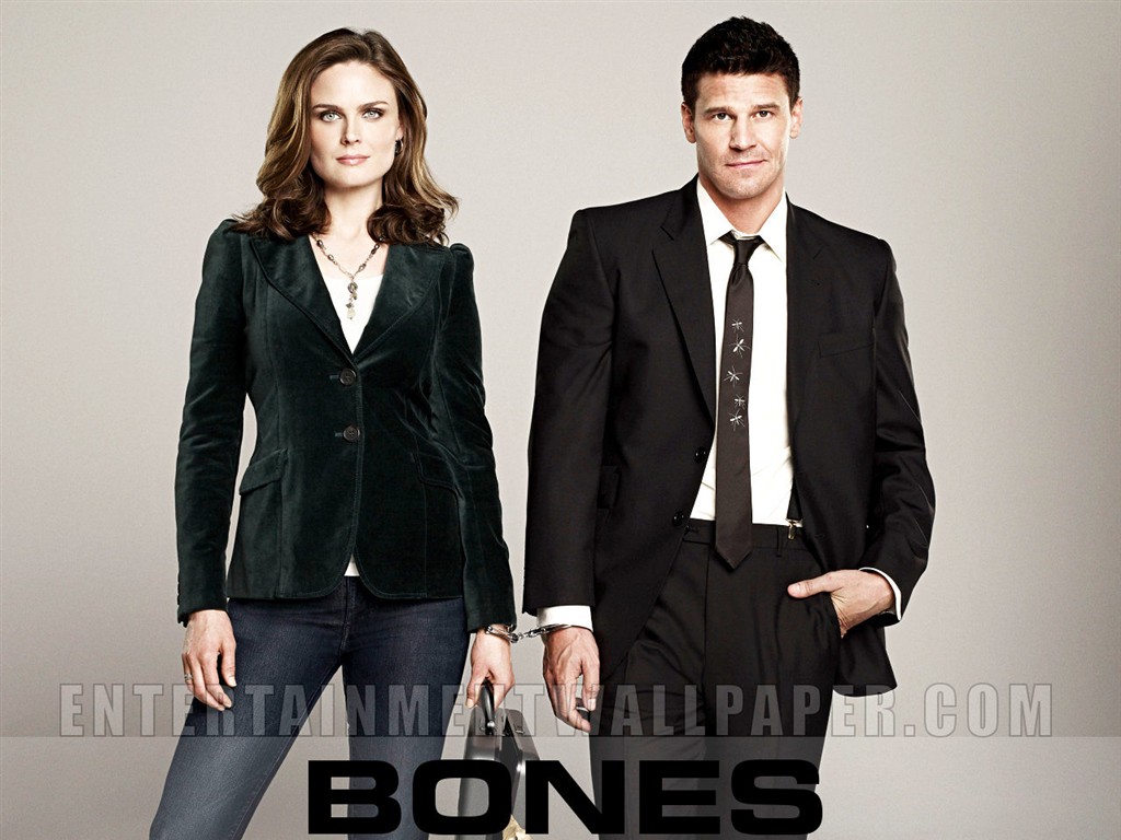 Bones wallpaper #4 - 1024x768