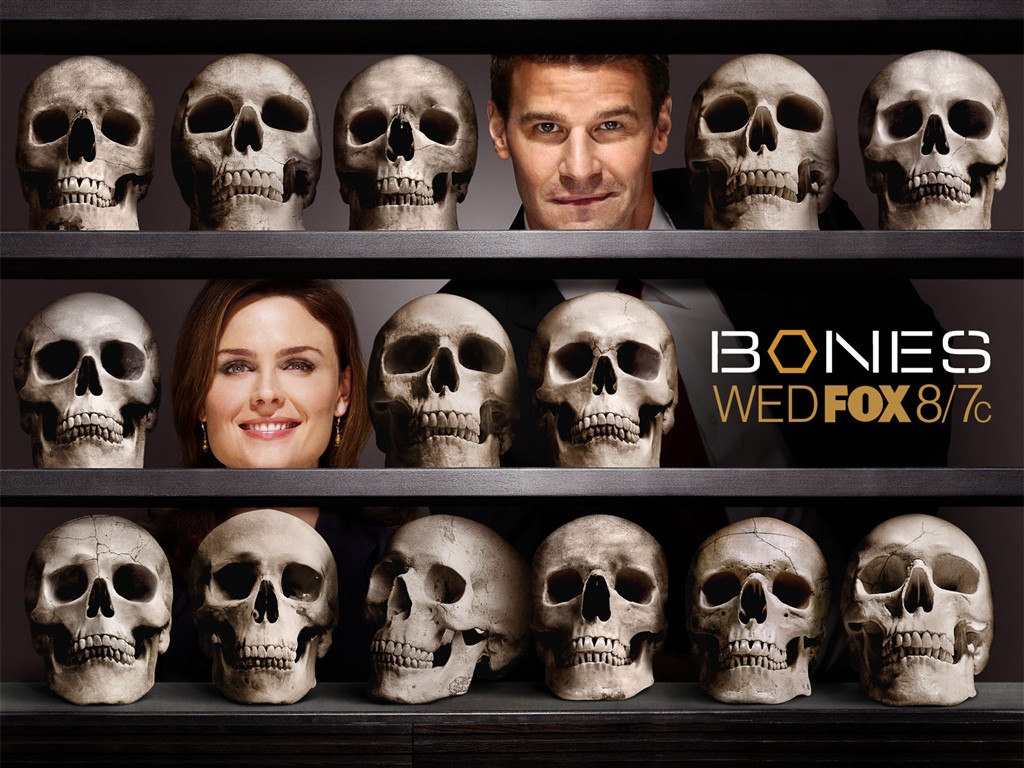 Bones wallpaper #5 - 1024x768