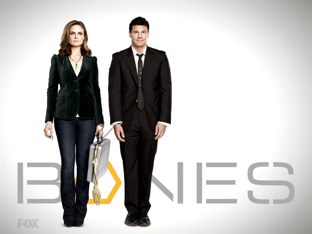 Bones wallpaper #7 - 1024x768