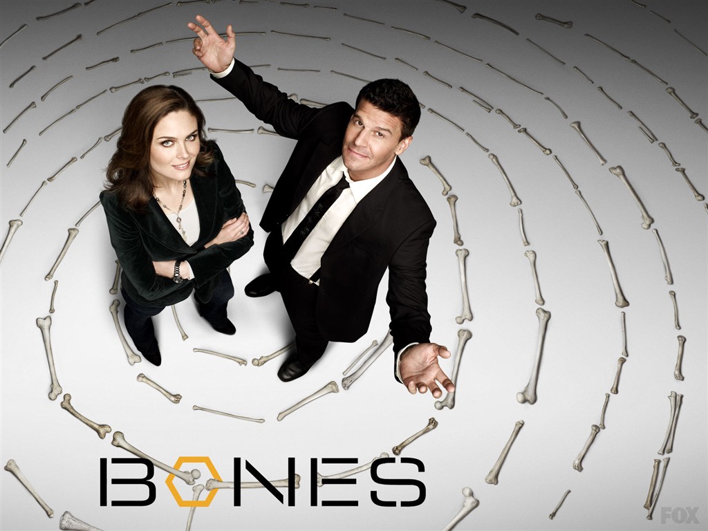 Bones wallpaper #9 - 1024x768