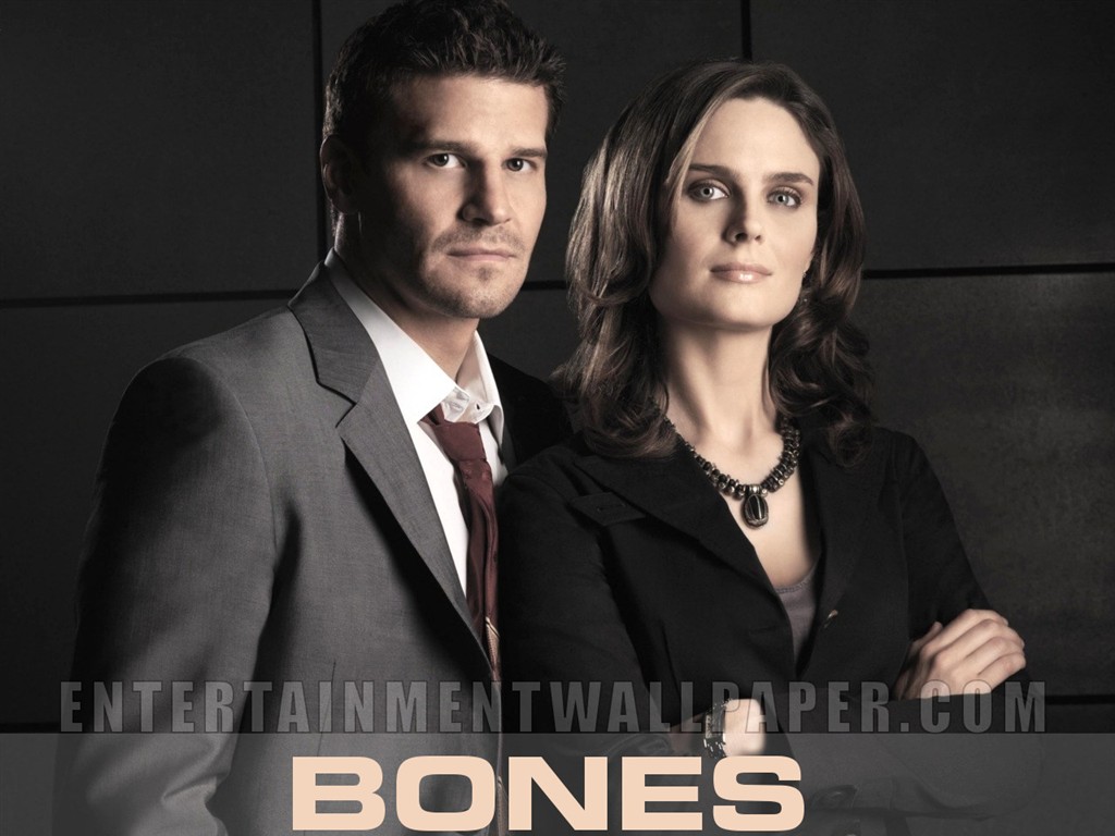 Bones wallpaper #11 - 1024x768