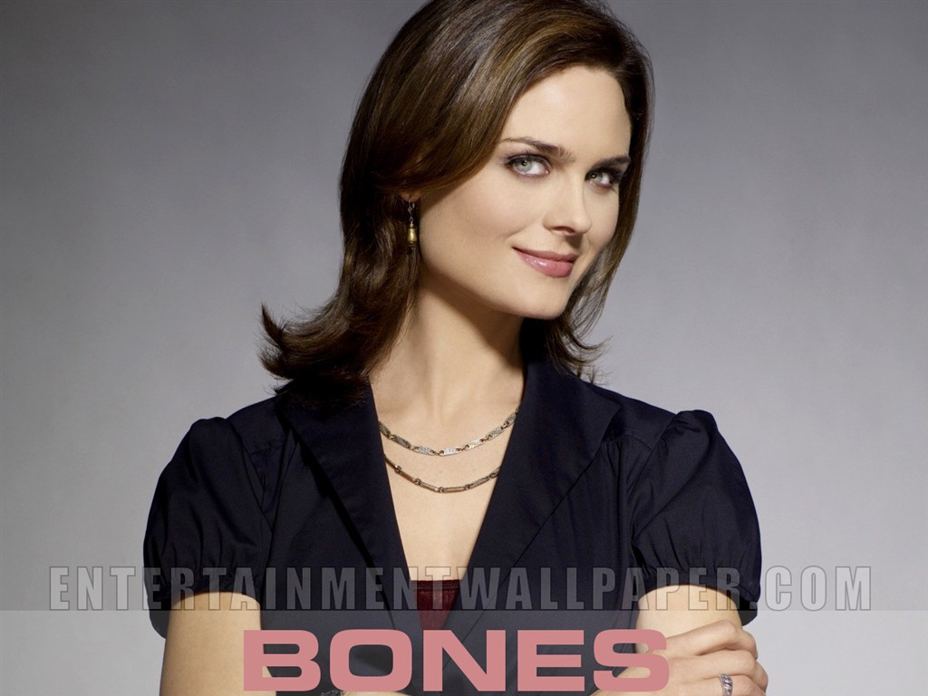 Bones wallpaper #13 - 1024x768