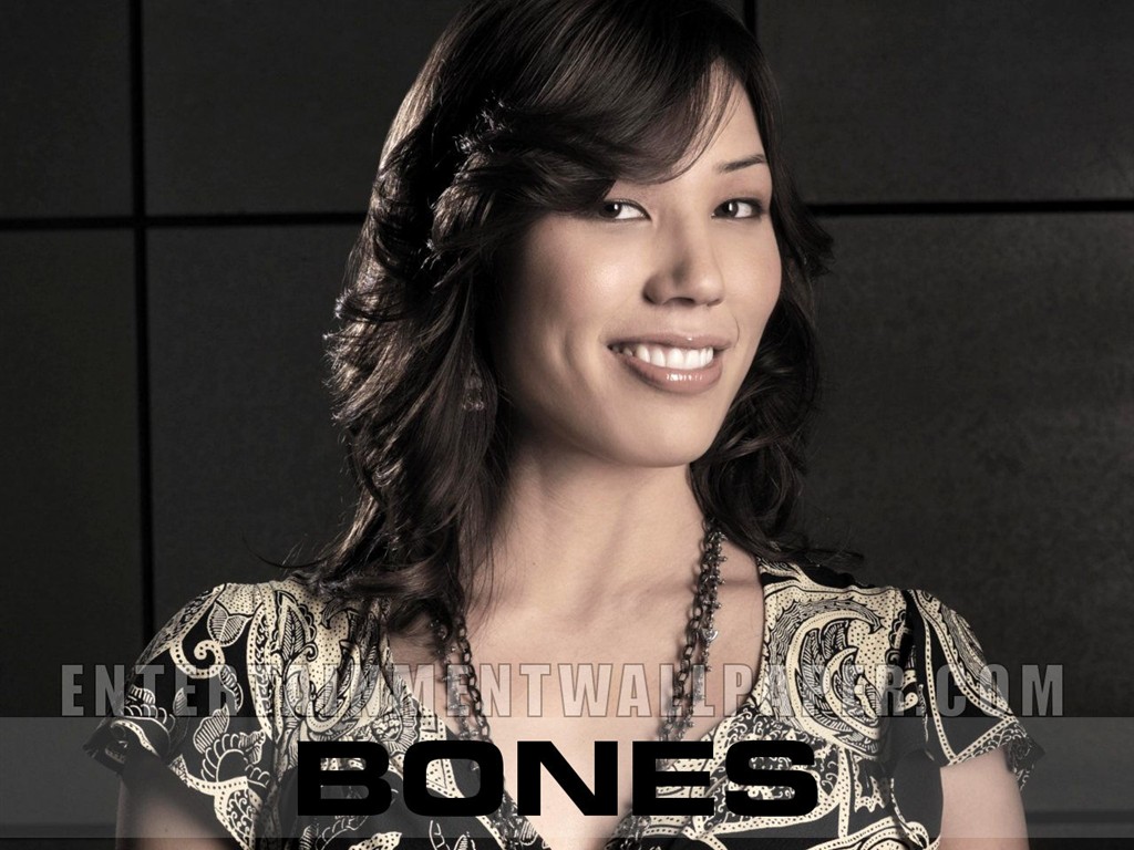 Wallpaper Bones #15 - 1024x768