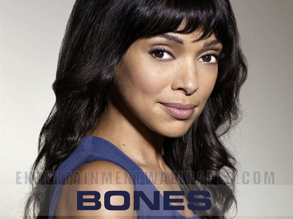 Bones wallpaper #17 - 1024x768