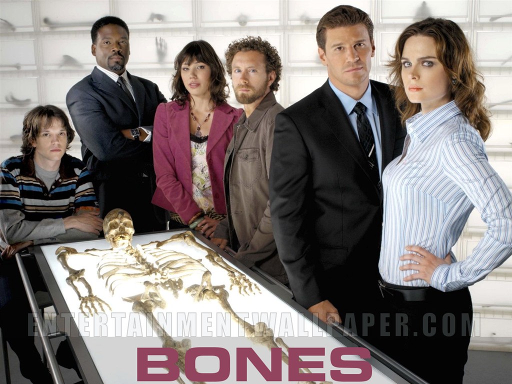 Wallpaper Bones #19 - 1024x768