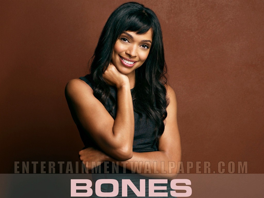 Bones wallpaper #23 - 1024x768