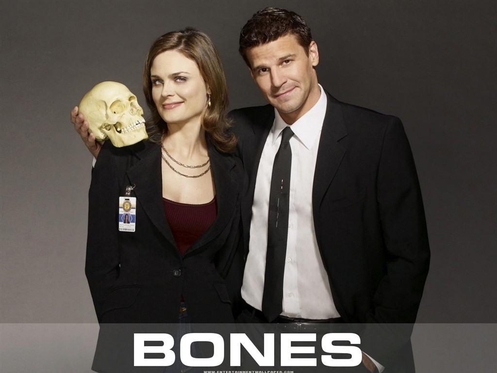 Bones Tapete #29 - 1024x768
