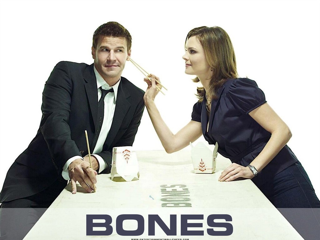 Bones Tapete #30 - 1024x768