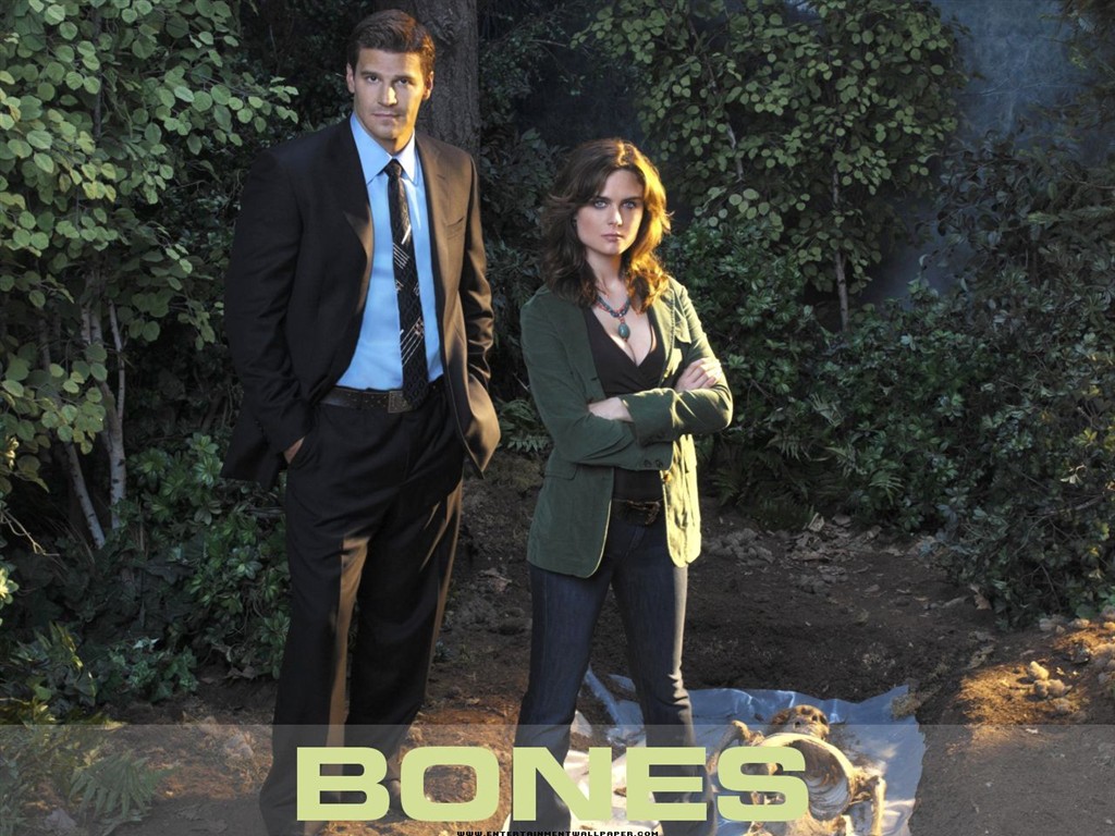 Bones Tapete #35 - 1024x768