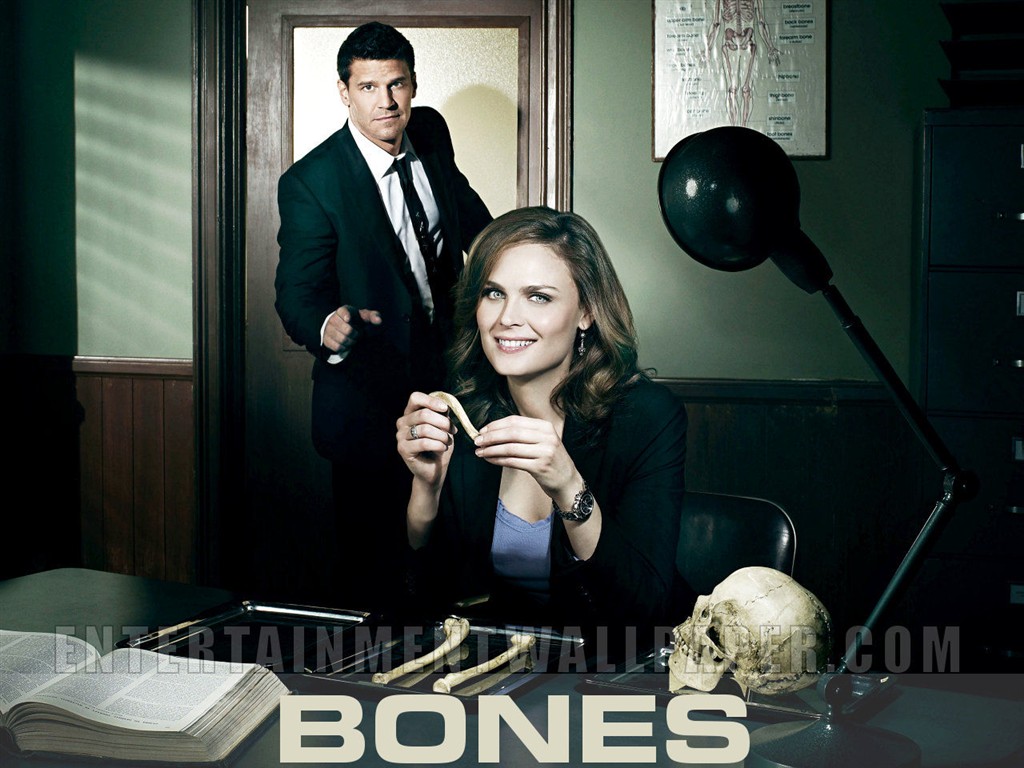 Bones Tapete #38 - 1024x768