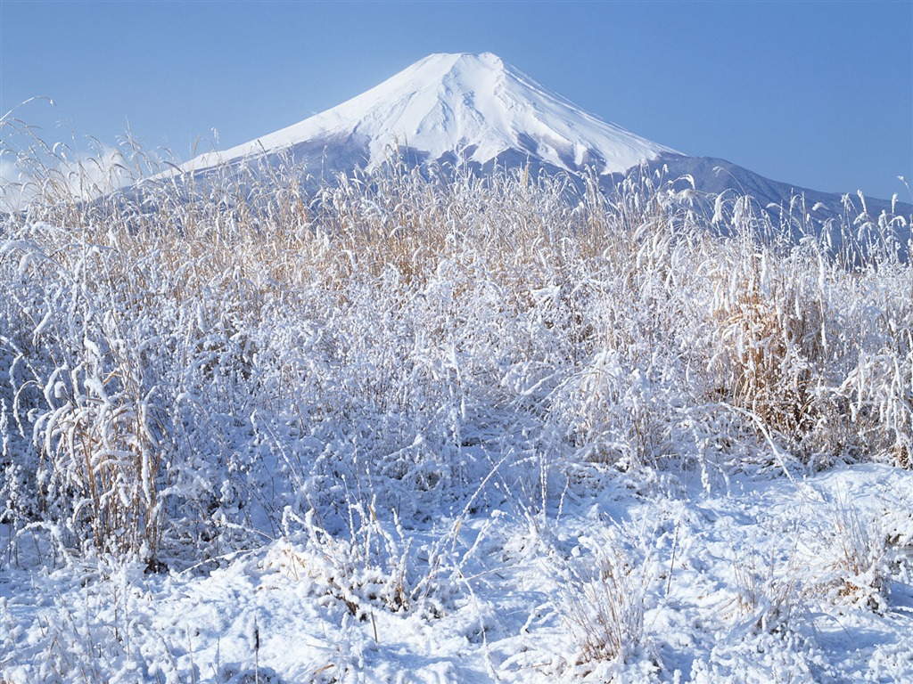 Fuji Krajina Tapety Album #22 - 1024x768