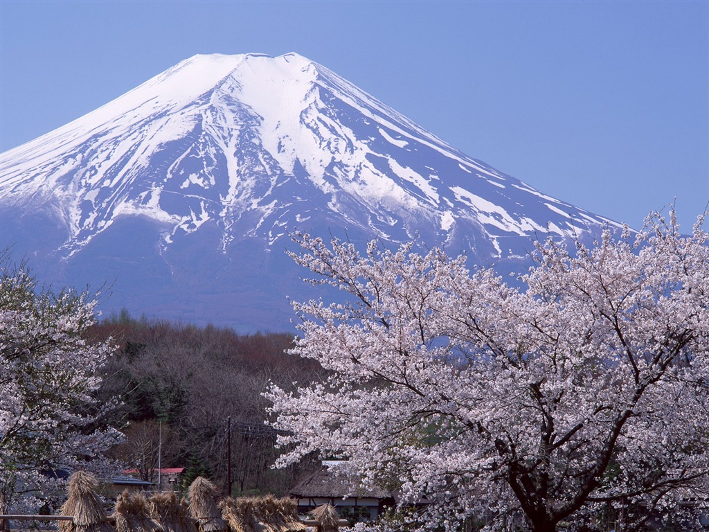 Fuji Álbum Fondos de Paisajes #33 - 1024x768