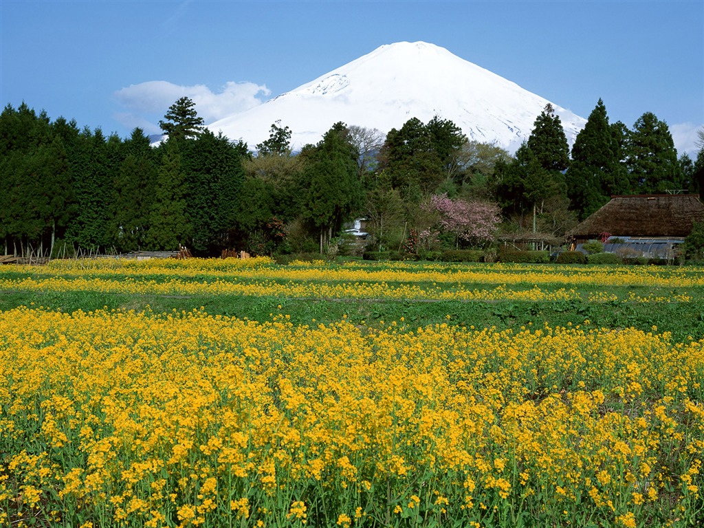 Fuji Krajina Tapety Album #36 - 1024x768