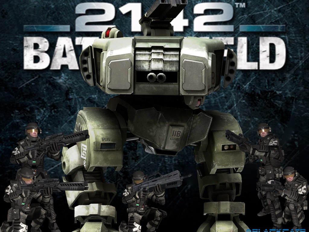 Battlefield 2142 戰地2142壁紙(二) #16 - 1024x768